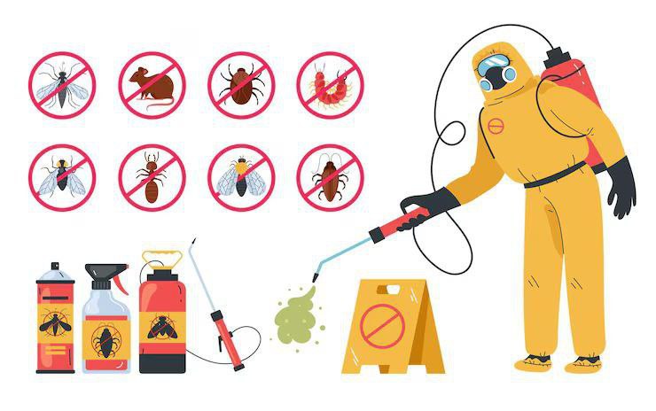 2026-02-25 15.46.25.jpg